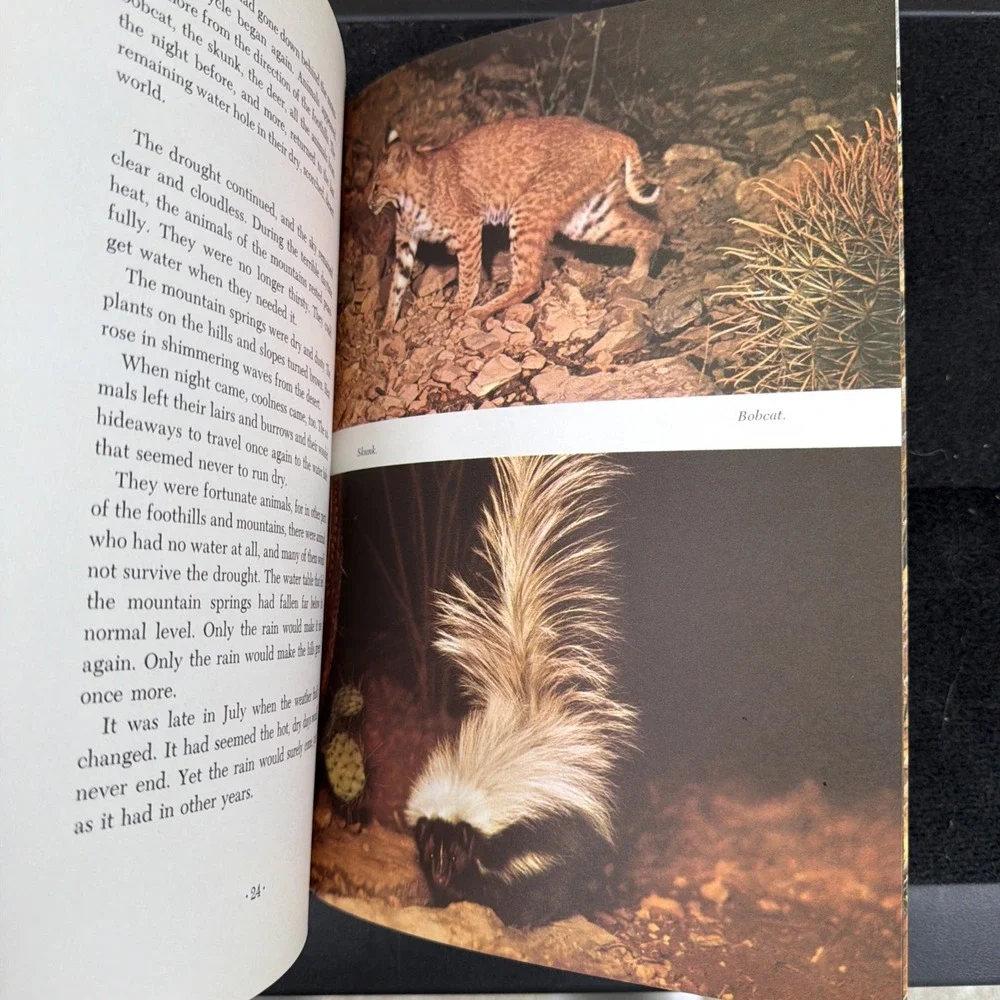 The Desert Water Hole Nature Adventure Book Arizona Highways Magazine Rare 1962